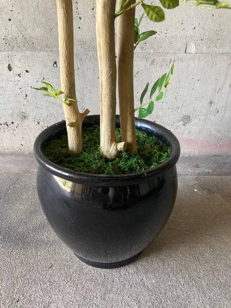 光触媒　人工観葉植物　ウォールグリーン　フェイクグリーン　トネリコ16666