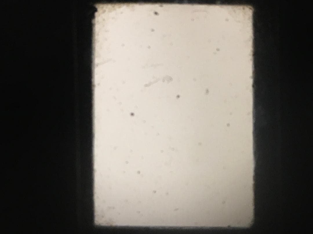 【整備済　美品】第一光学 Zenobia 6x4.5 7.5cm #1298