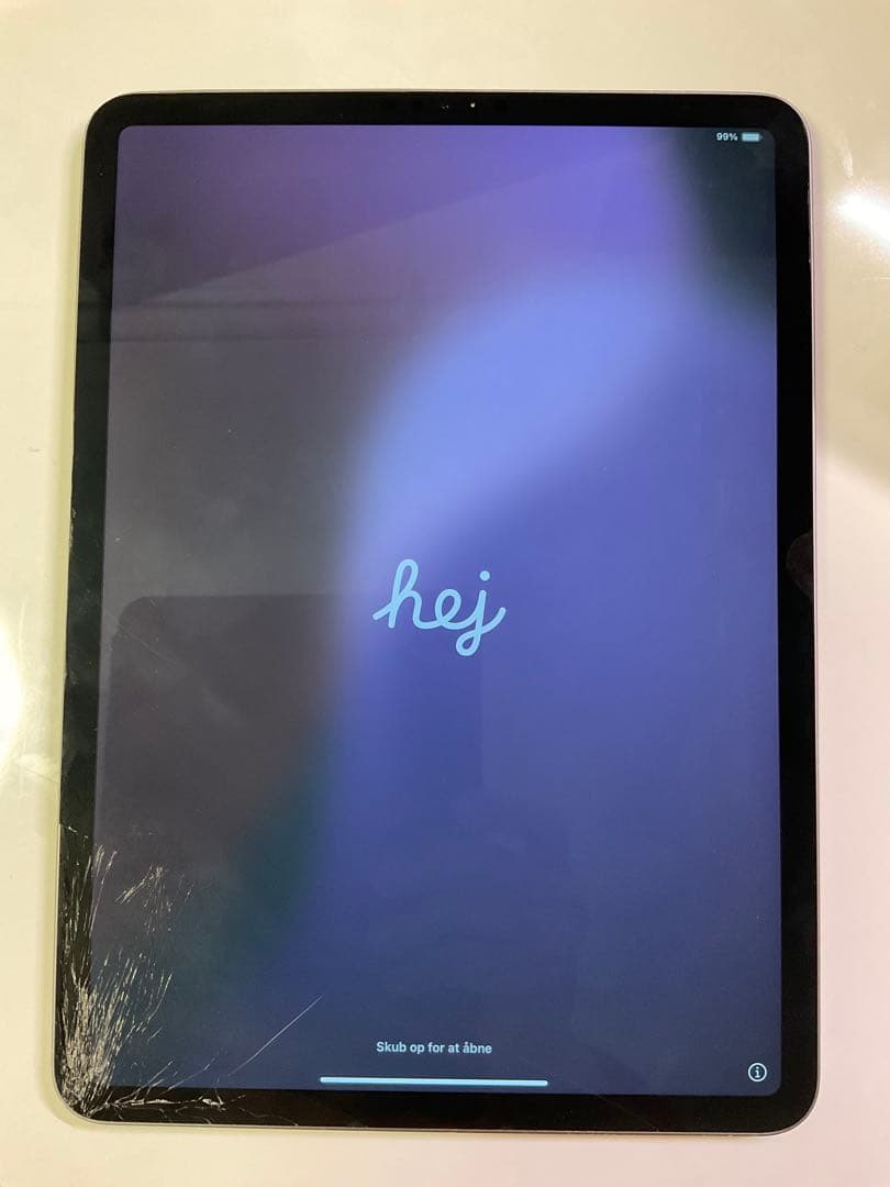 【ジャンク品】iPad Pro 第1世代 256GB Wi-Fiモデル