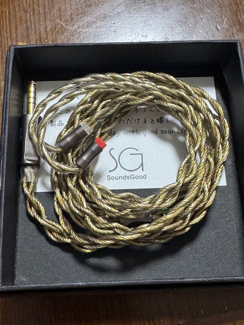 イヤホン SoundsGood Ehecatl 4.4mm CIEM 2pin