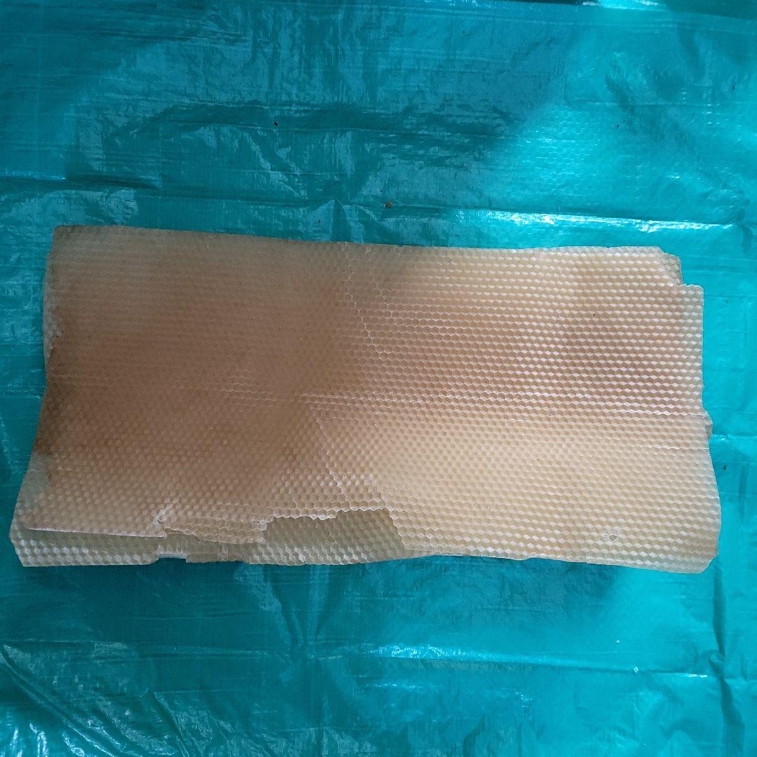 【送料込】養蜂器具（スズメバチ捕獲器付き）