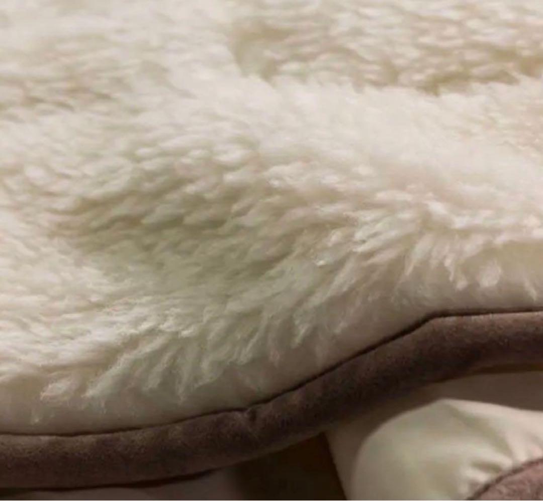 The PREMIUM Sofwool 敷き毛布　セミダブル