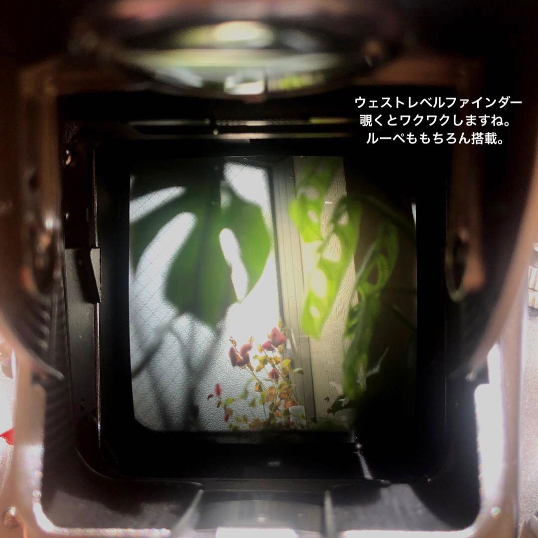 フィルムカメラ Pentacon Six TL + Bior 2.8 / 80