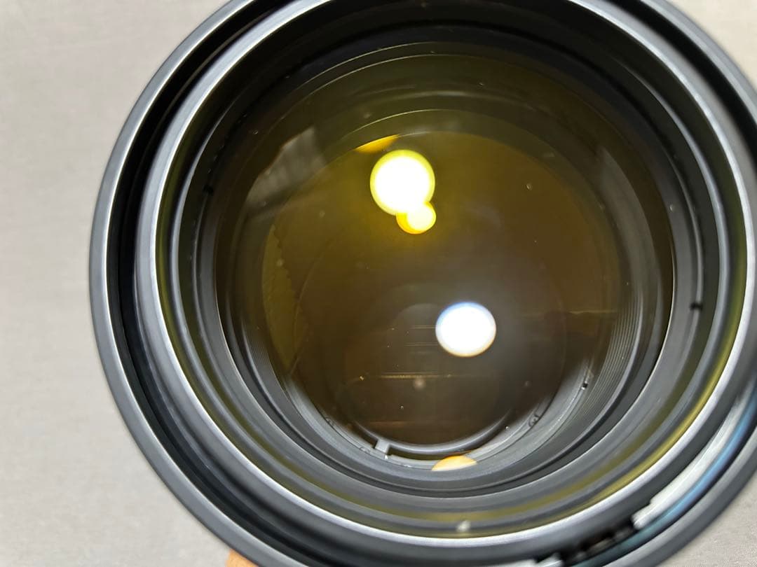 AF-S VR Nikkor 300mm f/2.8G IF-ED➕テレコン２個