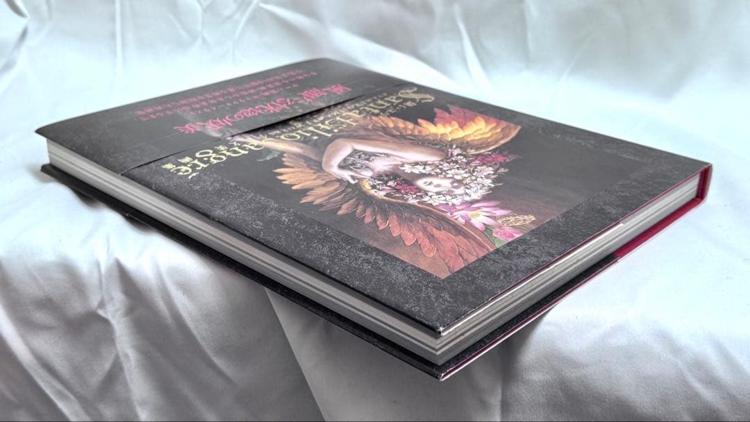 [美品] 小島文美 画集 -Santa Lilio Sangre- 緋いユリ