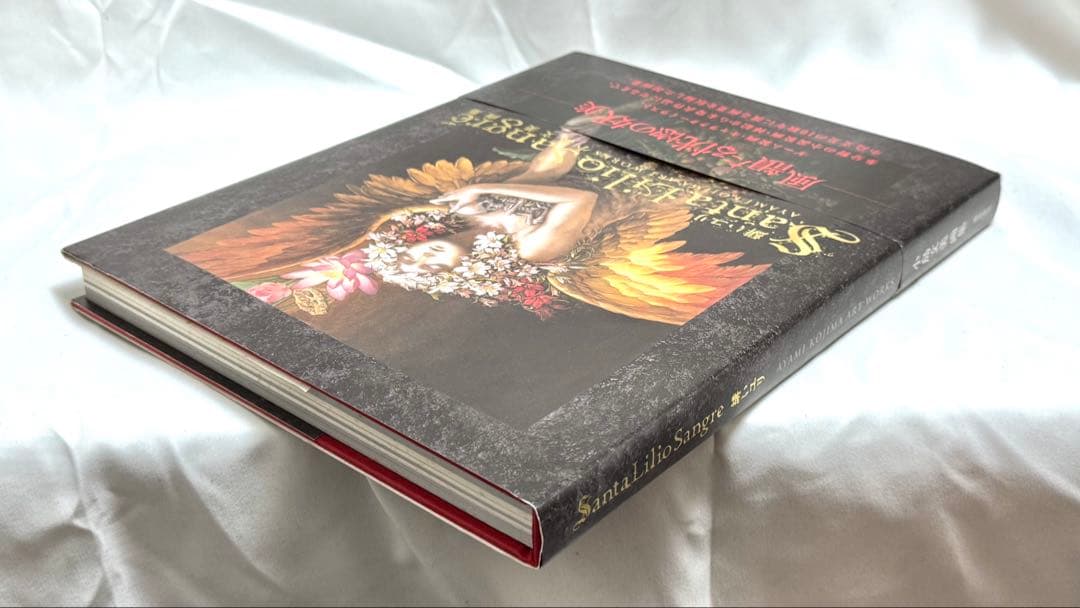 [美品] 小島文美 画集 -Santa Lilio Sangre- 緋いユリ