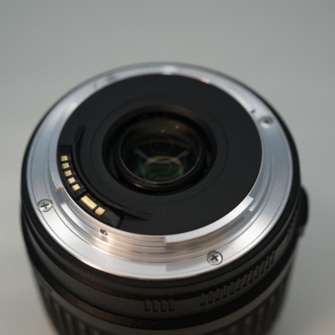 TAMRON 18-250mm Canon用 標準+望遠レンズ a3683