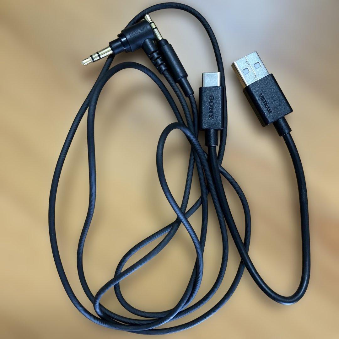 take ソニー ワイヤレスヘッドホン WH-1000XM5 ブラック