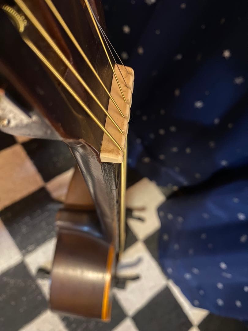 Daiwa Guitar No.300 (エレアコ) 鉄線ギター