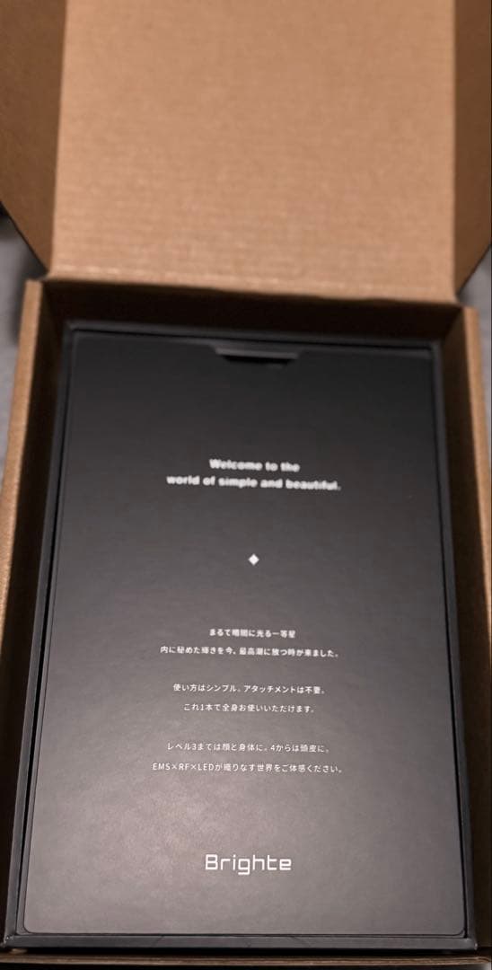 Bright ELEKI BRUSH ブライトエレキブラシ