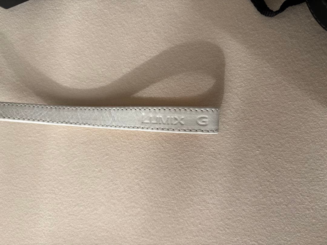 Panasonic ルミックスLUMIX DMC-GF3