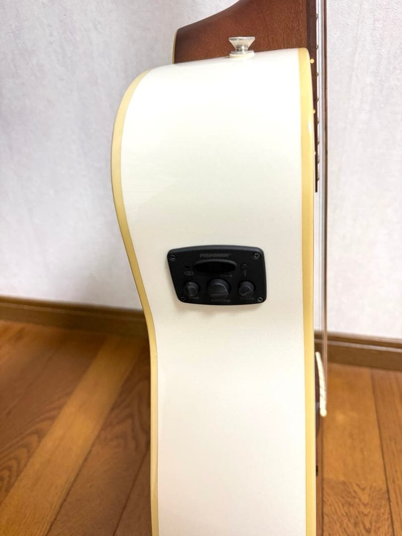 【美品✨】FENDER MALIBU PLAYER エレアコ