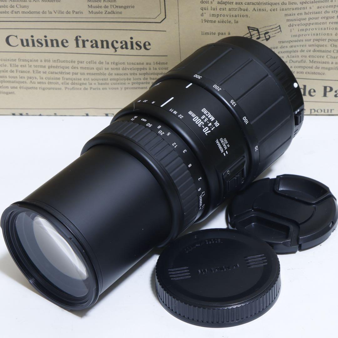 ☆ウタコ&ミミ☆WiFi☆ キャノン EOS Kiss X2、望遠レンズ