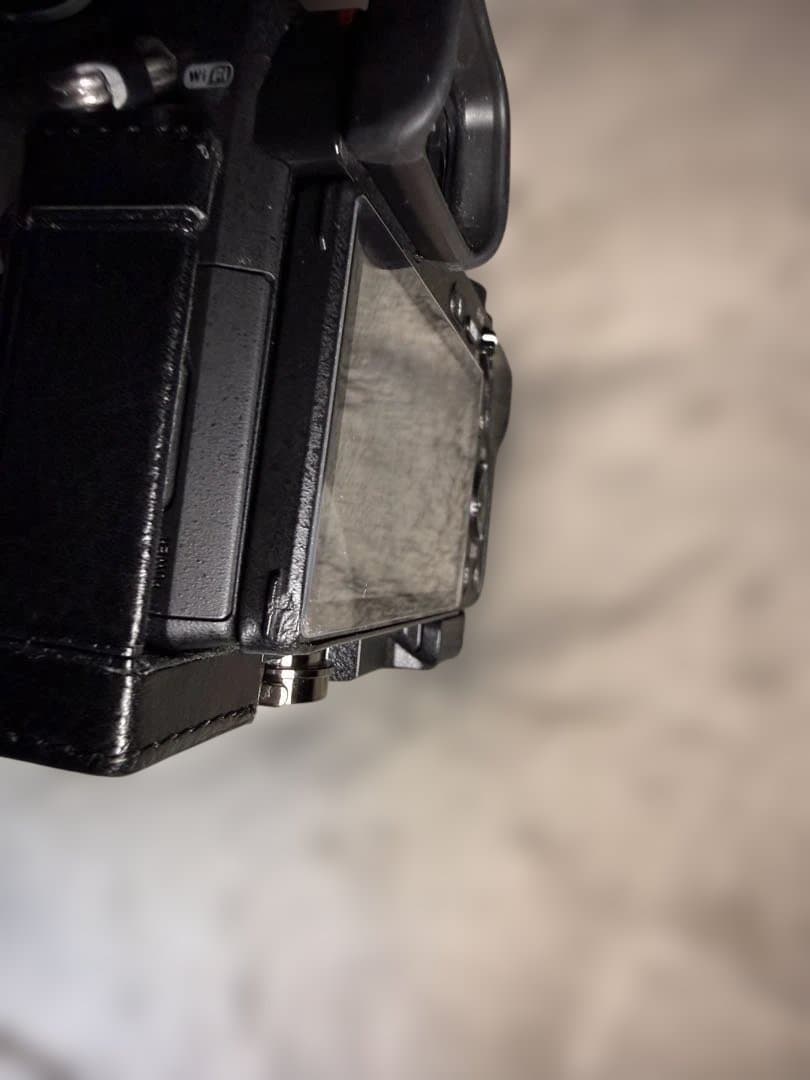 SONY α6300 とレンズSEL55-210mm