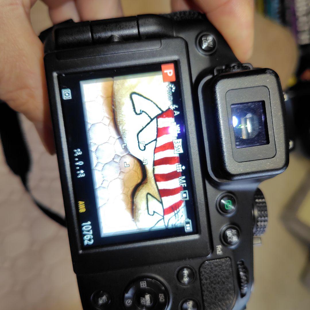 パナソニック DMC-FZ200