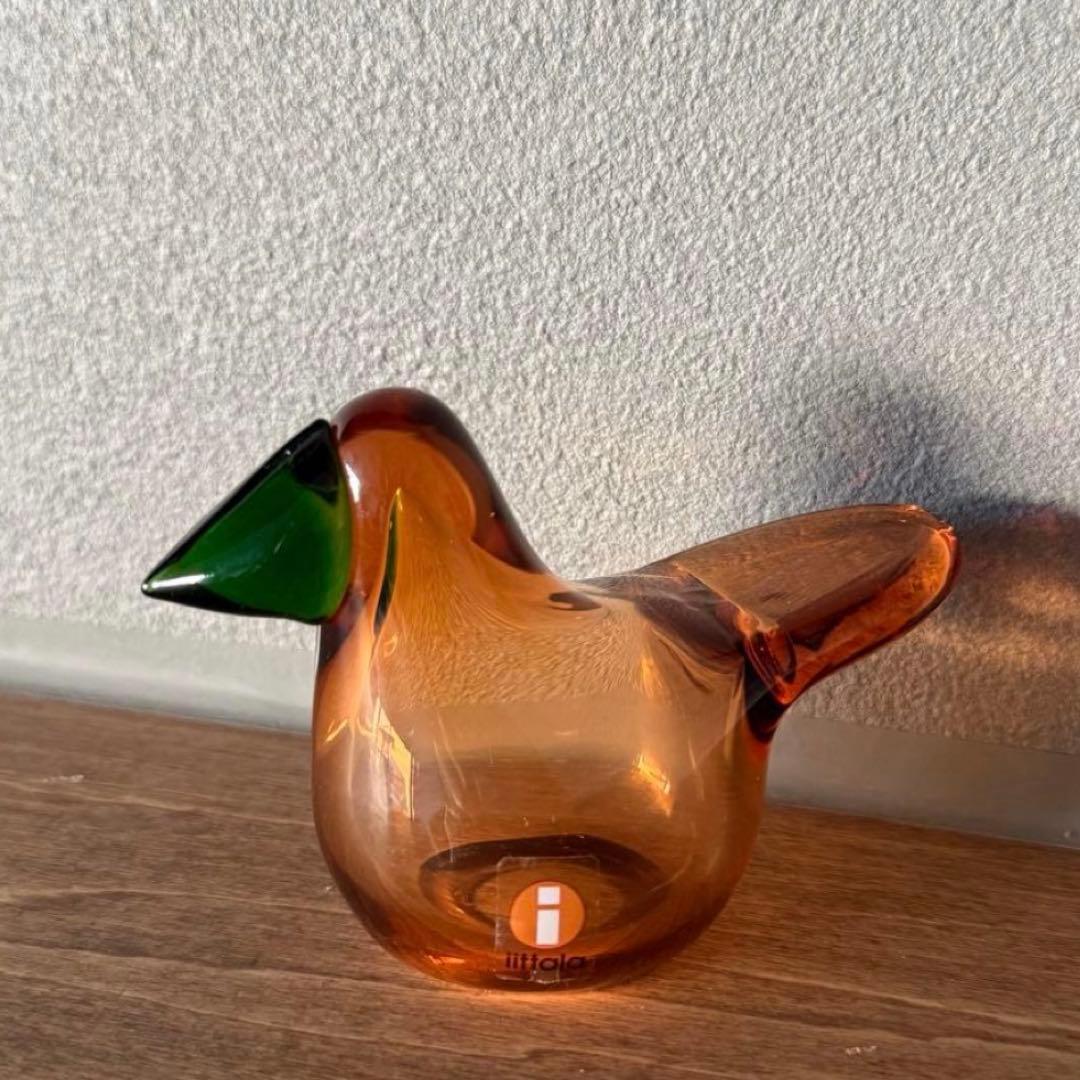 イッタラ バード シエッポ セビリアオレンジ×グリーン scope別注