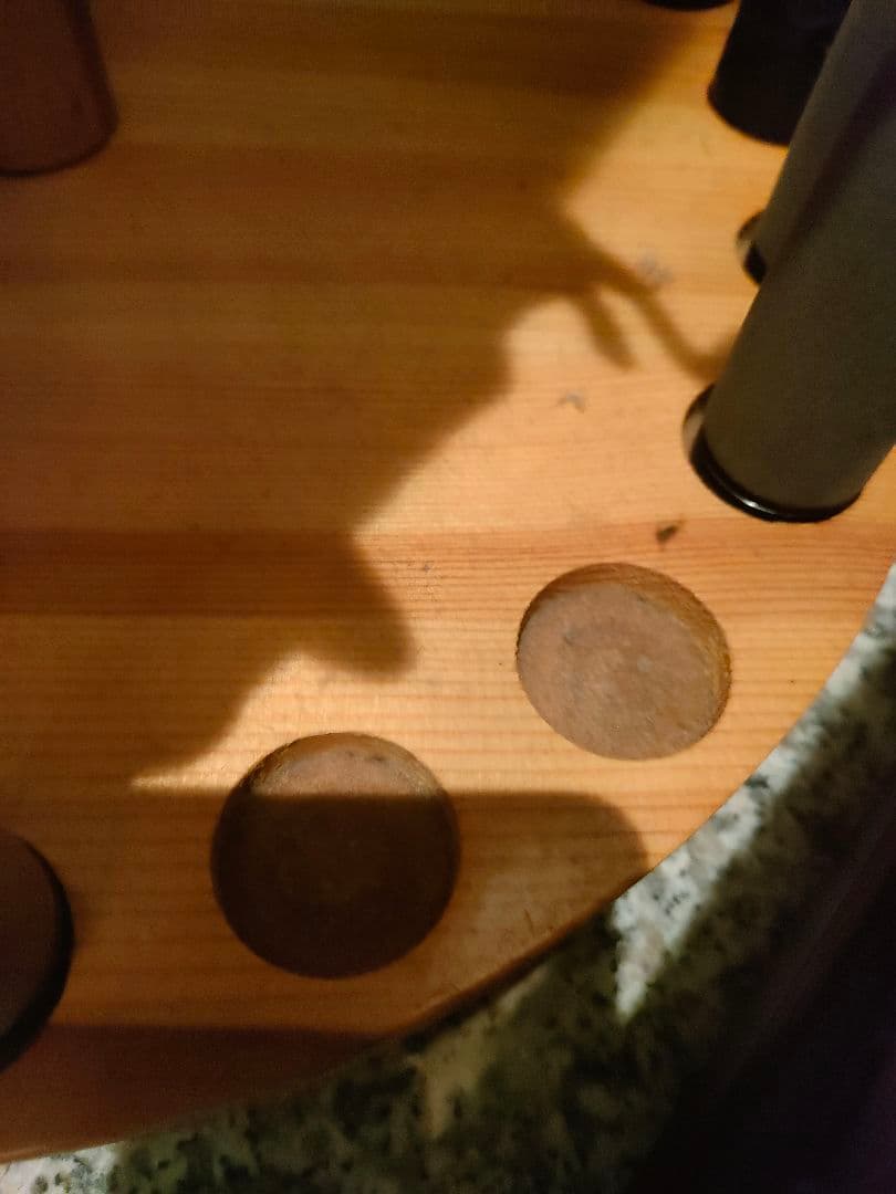 Slang \"SHADY\" バスロッド