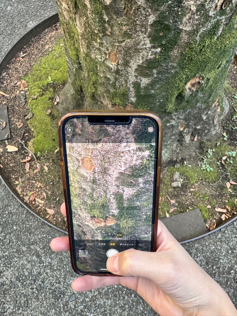 iPhone 12 Pro シルバー 本体　256G