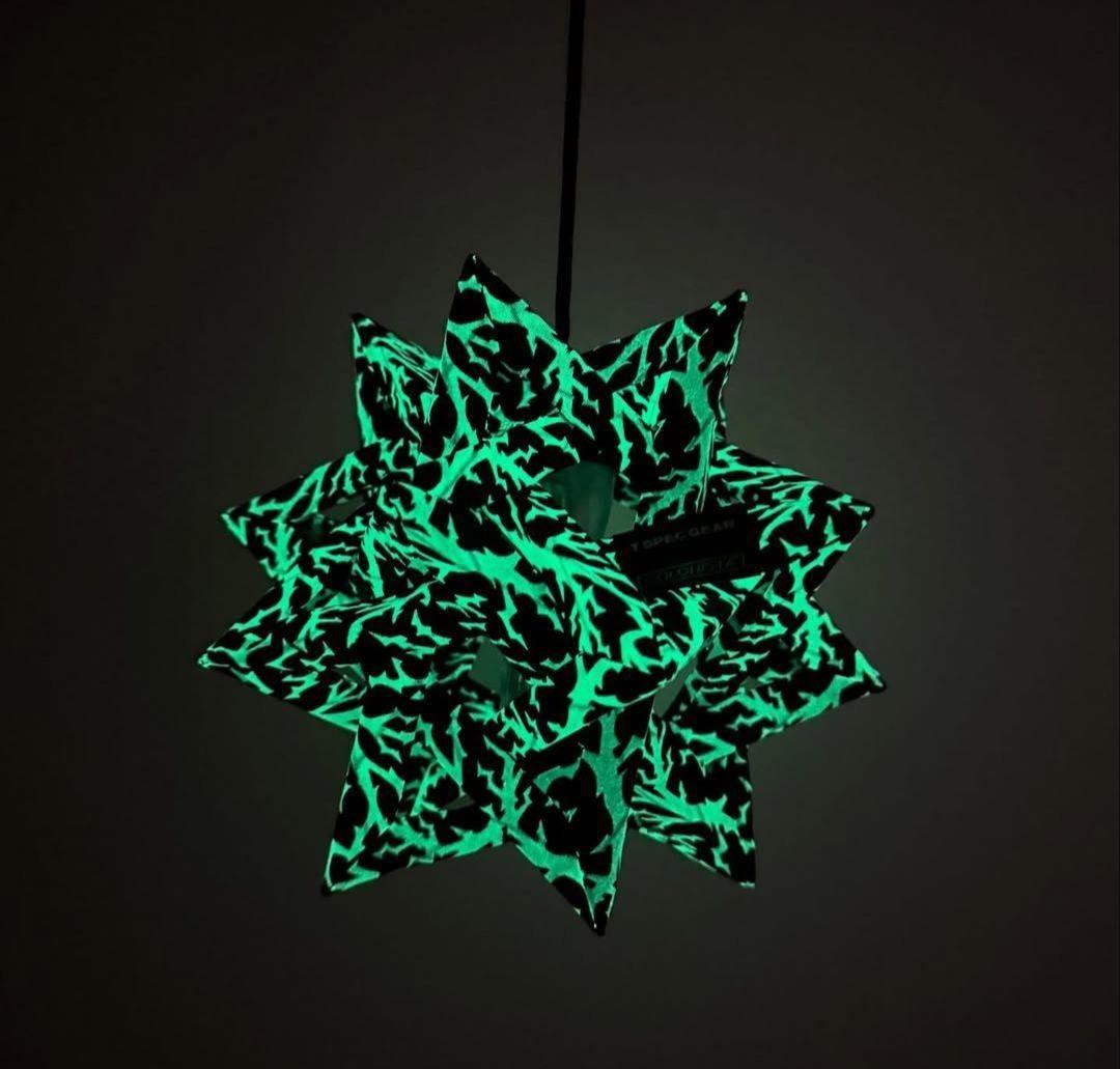 COLONISTAコロニスタ Conpe10 T SPEC GEAR 別注 新品