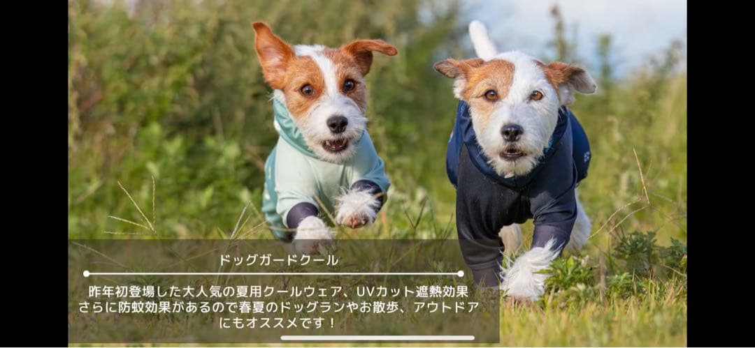 アルファアイコンドッグガードクールLサイズ