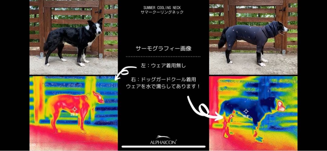 アルファアイコンドッグガードクールLサイズ