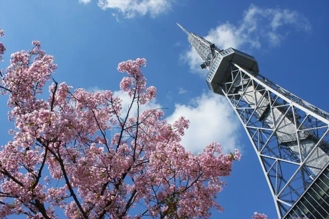 Canon EOS40D 標準ズームレンズ付き