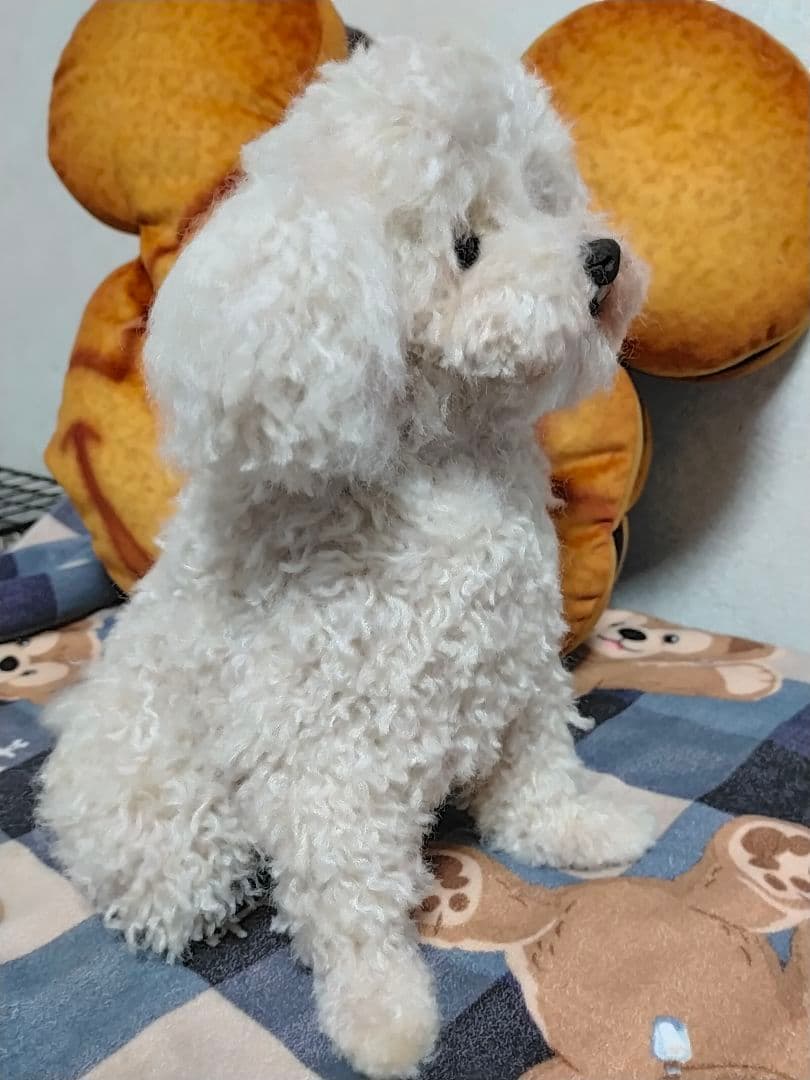 Tigerlsjオーダーベージ。20センチサイズ