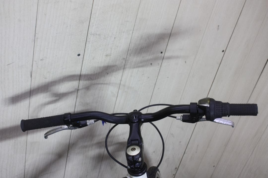 SHINEWOOD(シャインウッド) 26型 シマノ6速 480mm クロス