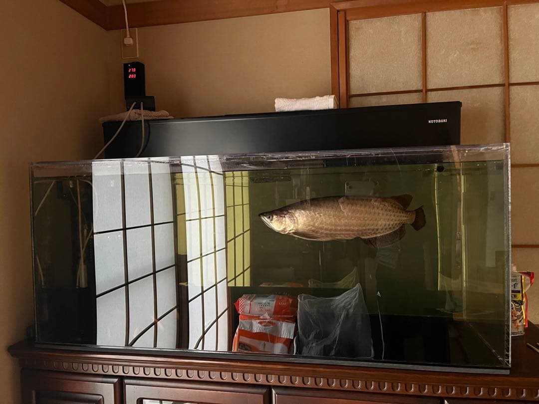 アクリル水槽 1200×500×500 上部濾過・交換ポンプ・蓋2枚！！