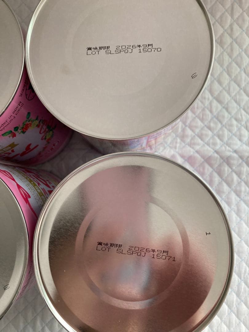 グリコ　アイクレオ 粉ミルク 800g×4缶セット