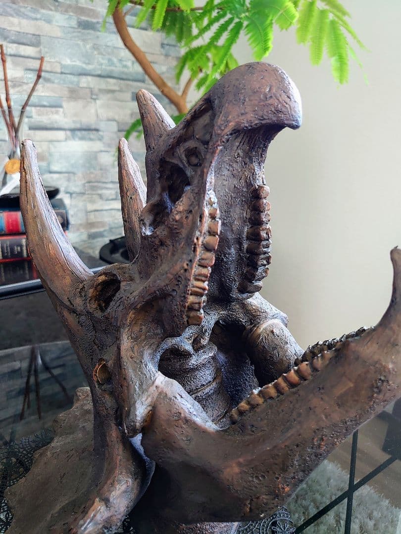 【2個セット】 ティラノサウルス トリケラトプス 頭骨 化石 レプリカ