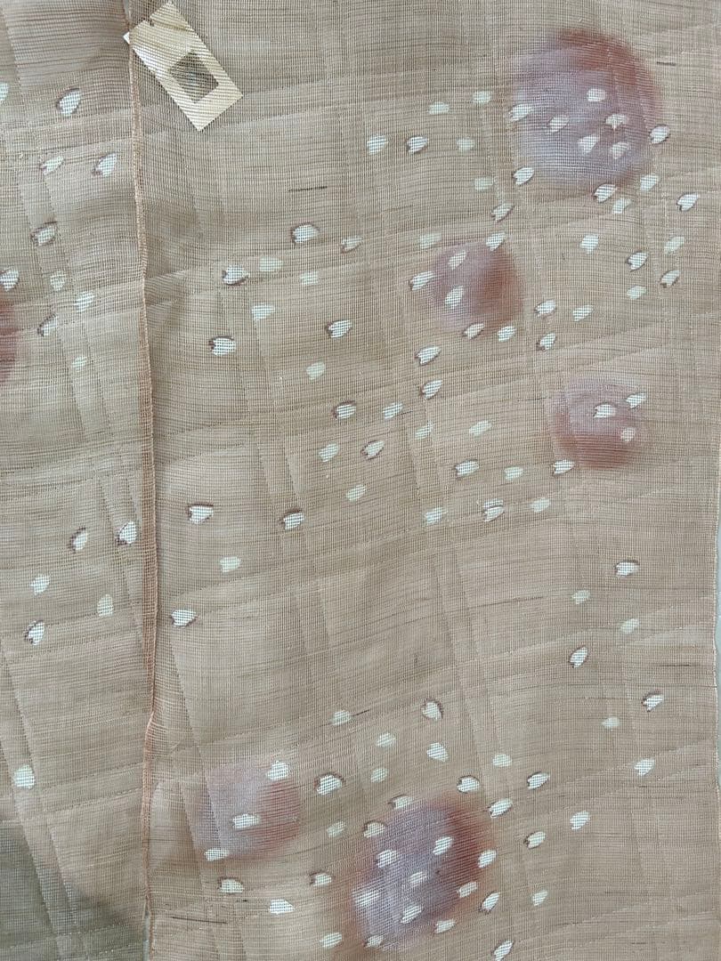 透け桜の模様の暖簾