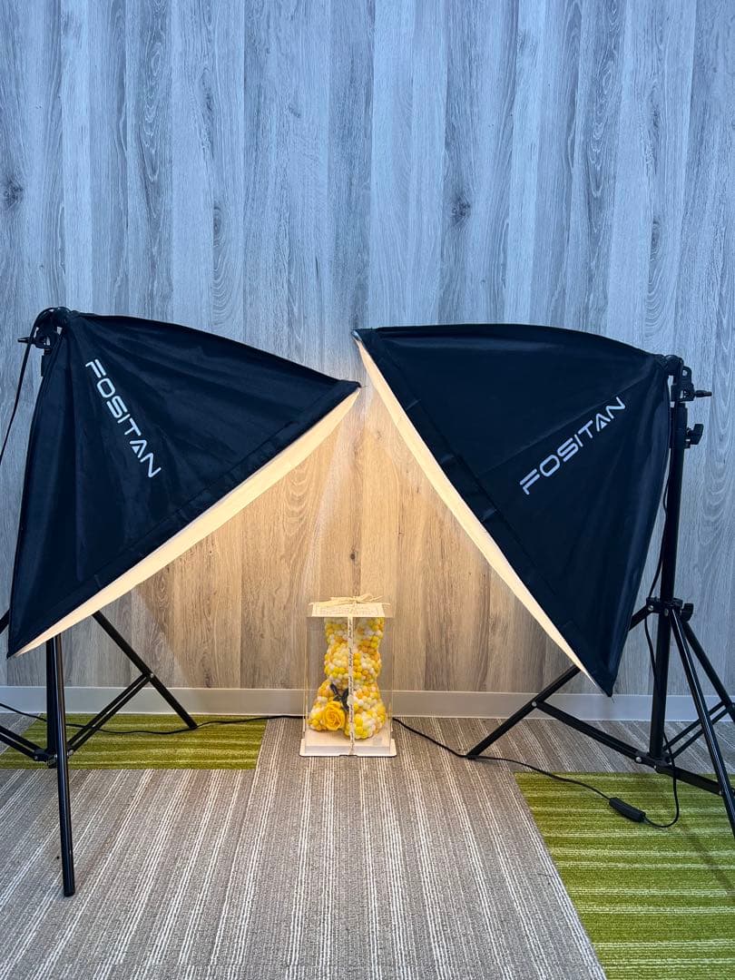 美品　FOSITAN  2本　配信　撮影　モデル　写真　照明　投稿