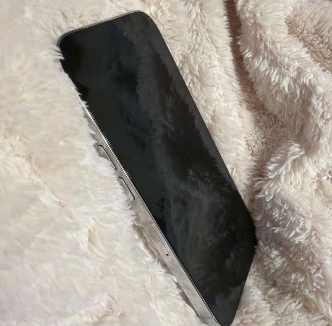 1/21日削除 美品 Apple iPhone 14Pro シルバーSIMフリー