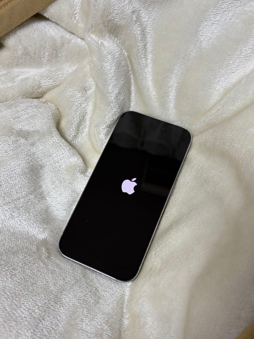 1/21日削除 美品 Apple iPhone 14Pro シルバーSIMフリー