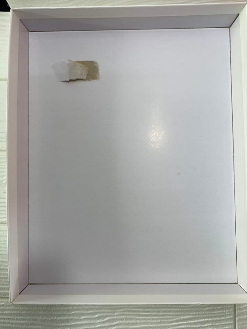 リュミエリーナ　ヘアビューザー　LUMIELINA ExcelleMium 2