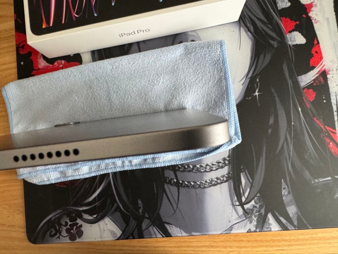 iPad Pro 11インチ 第4世代 256GB MNXF3J/A