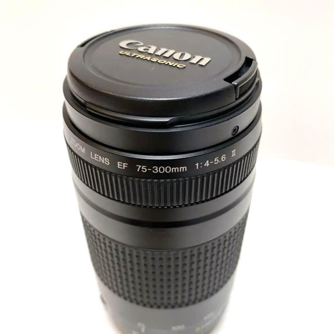 【美品】Canon 75-300mm F4-5.6 Ⅱ 超望遠レンズ