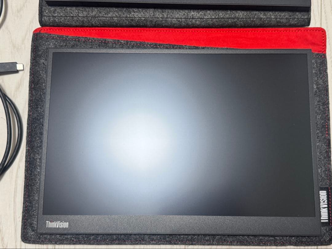LenovoThinkVision M14d 2台セット