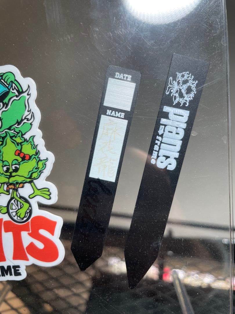 アガベ 麻花龍　ming