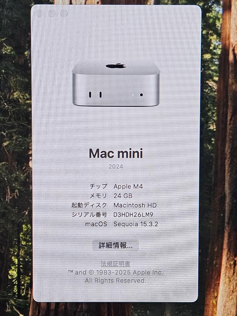 Apple Mac mini M4 メモリ24GB SSD512GB＋ケーブル