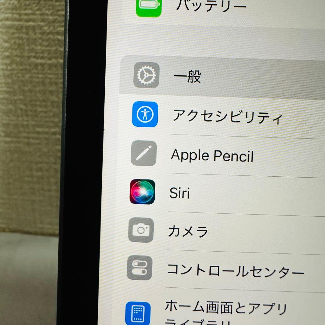 iPad Pro 11 第1世代 256GB WiFi