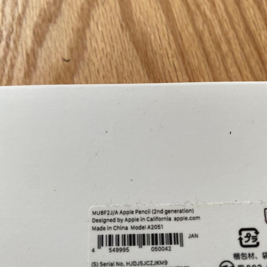 iPad Pro第一世代11インチとApple Pencil第二世代