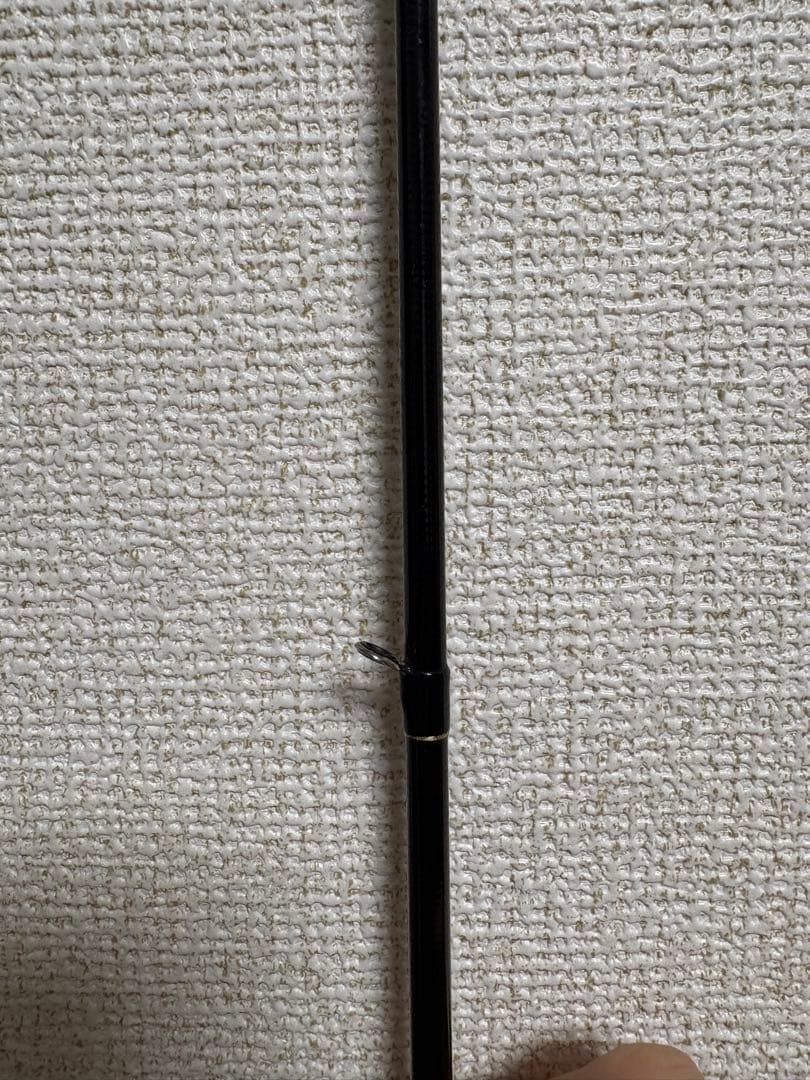 カリスタ82ml/TG NANO