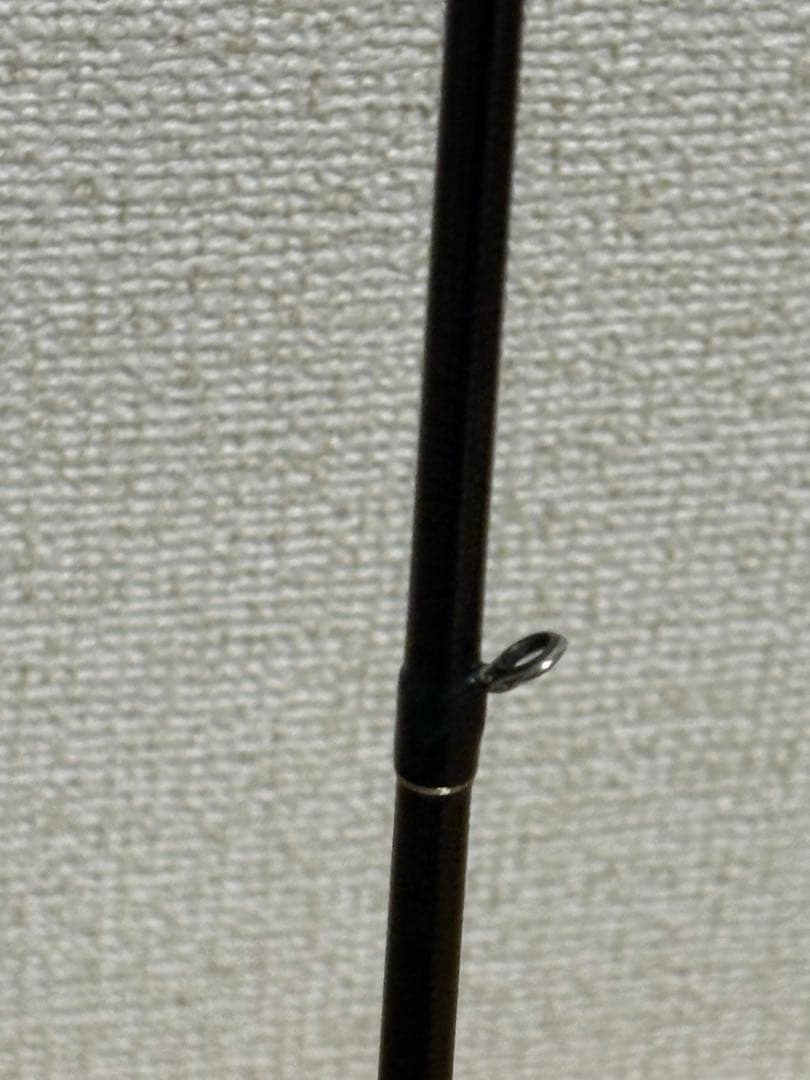 カリスタ82ml/TG NANO