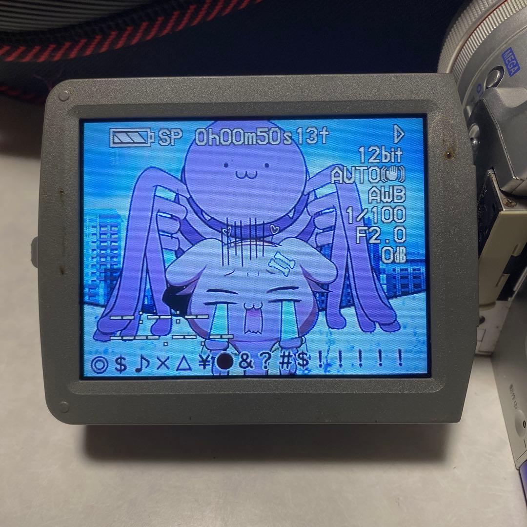 Panasonic miniDVビデオカメラ NV-MX5000 ⑦