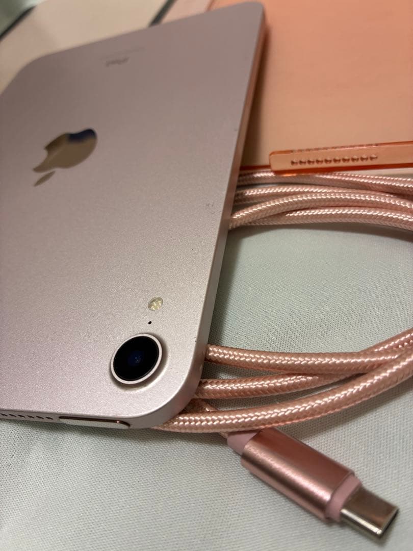 Apple iPad mini6 ピンク 256GB wi-fi 本体 ケース付