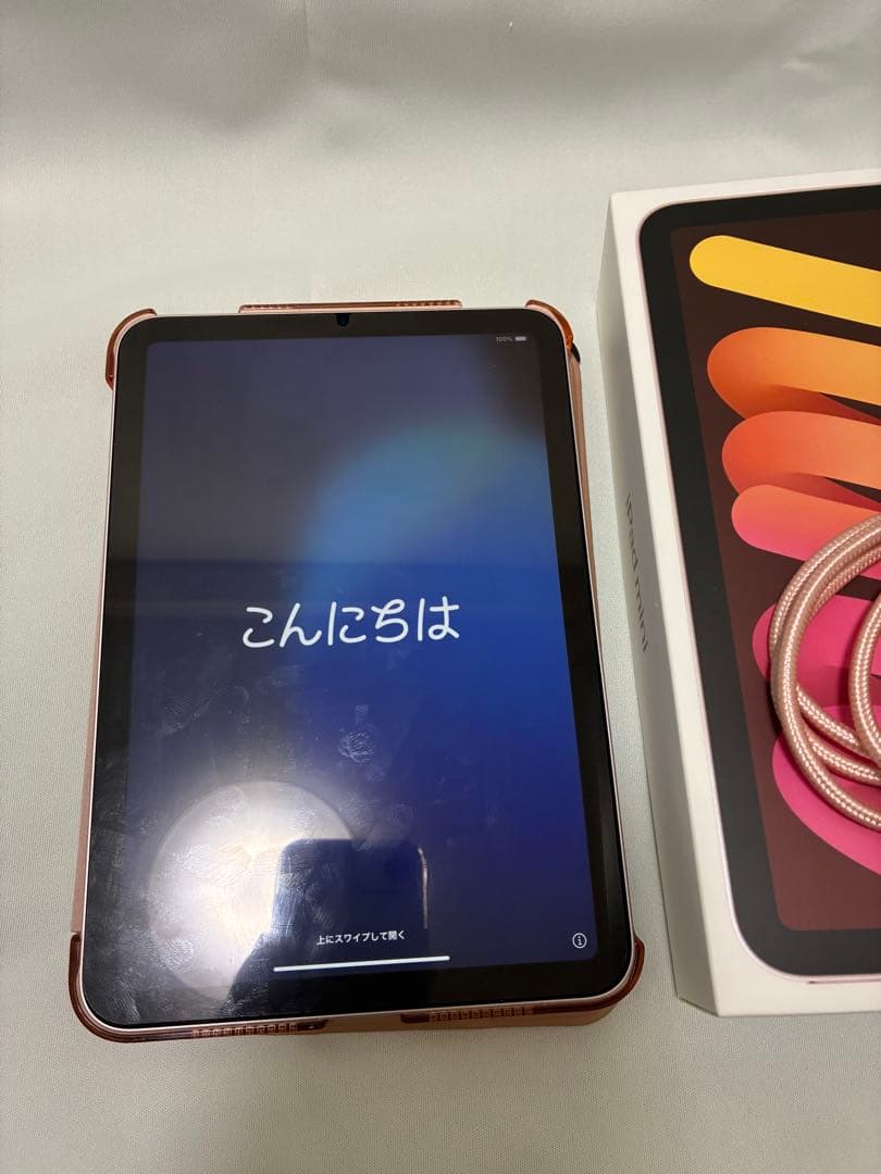 Apple iPad mini6 ピンク 256GB wi-fi 本体 ケース付