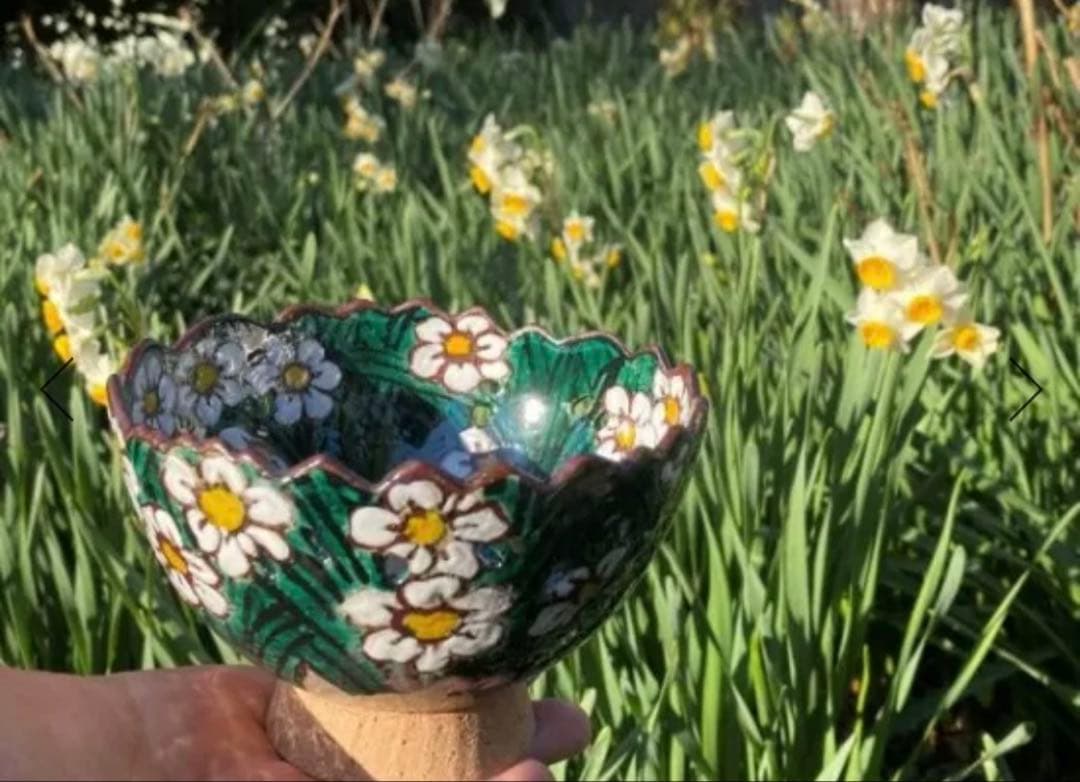 乾山写水仙向付10客　清水焼　新品未使用