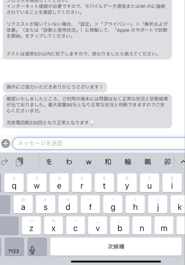 Apple iPad pro第1世代 256GB ＋Apple Pencil